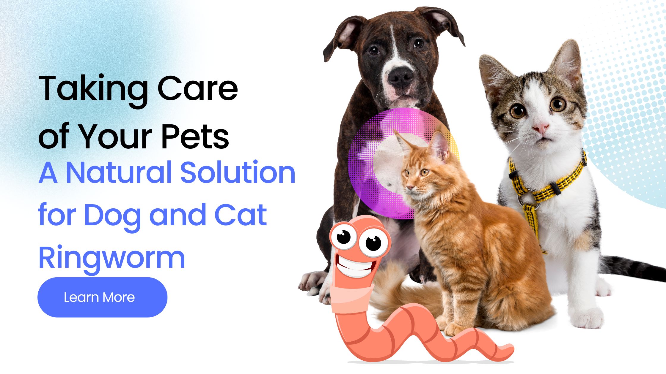 Taking Care of Your Pets: A Natural Solution for Dog and Cat Ringworm