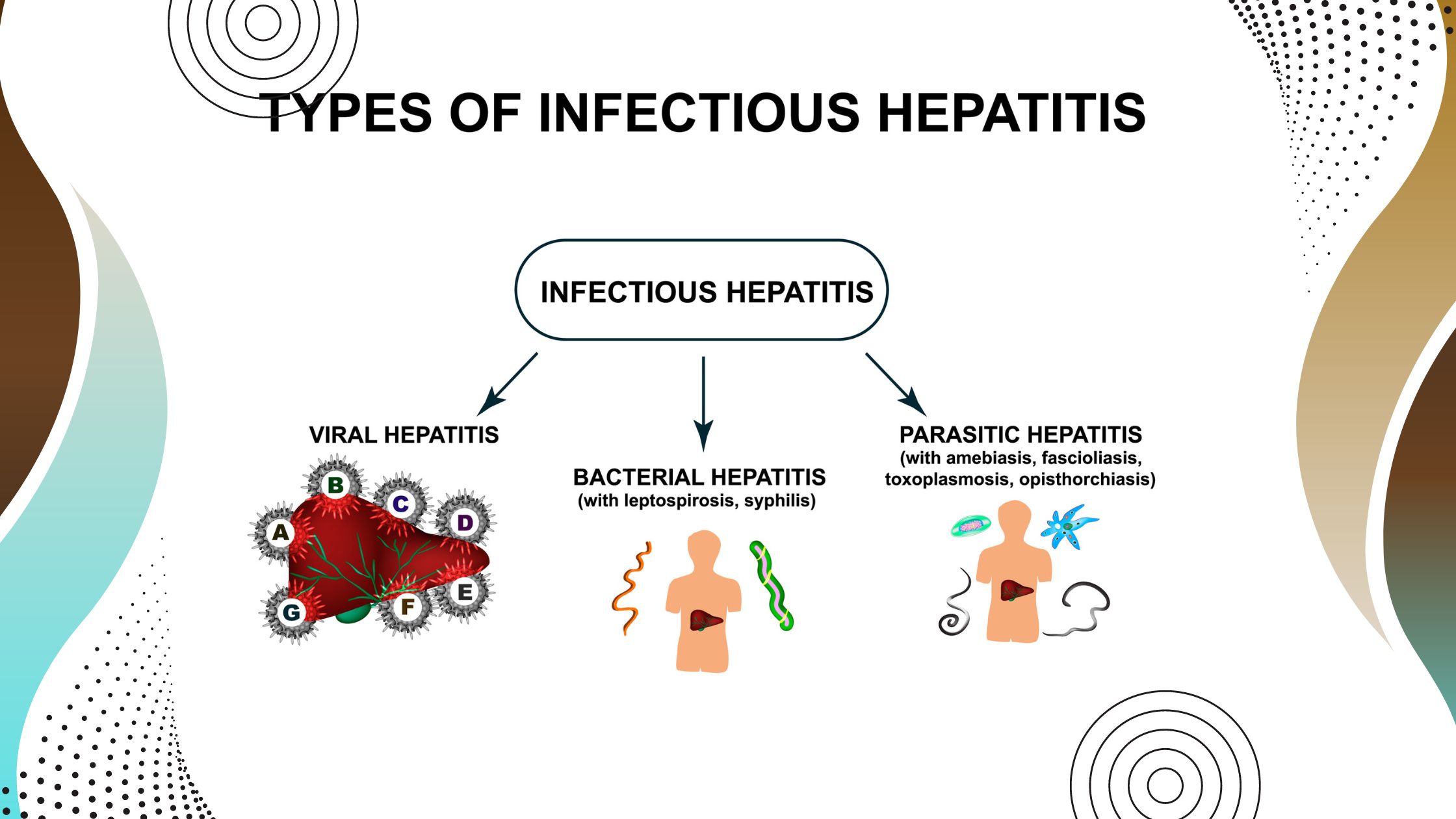 The Hepatitis C Virus (HCV)