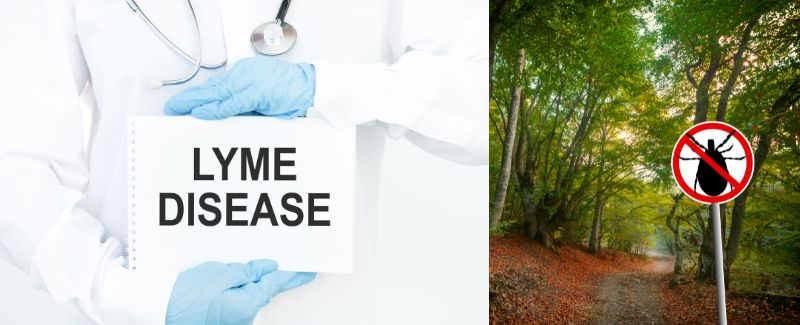 There is A New Way To Diagnose Chronic Lyme Disease