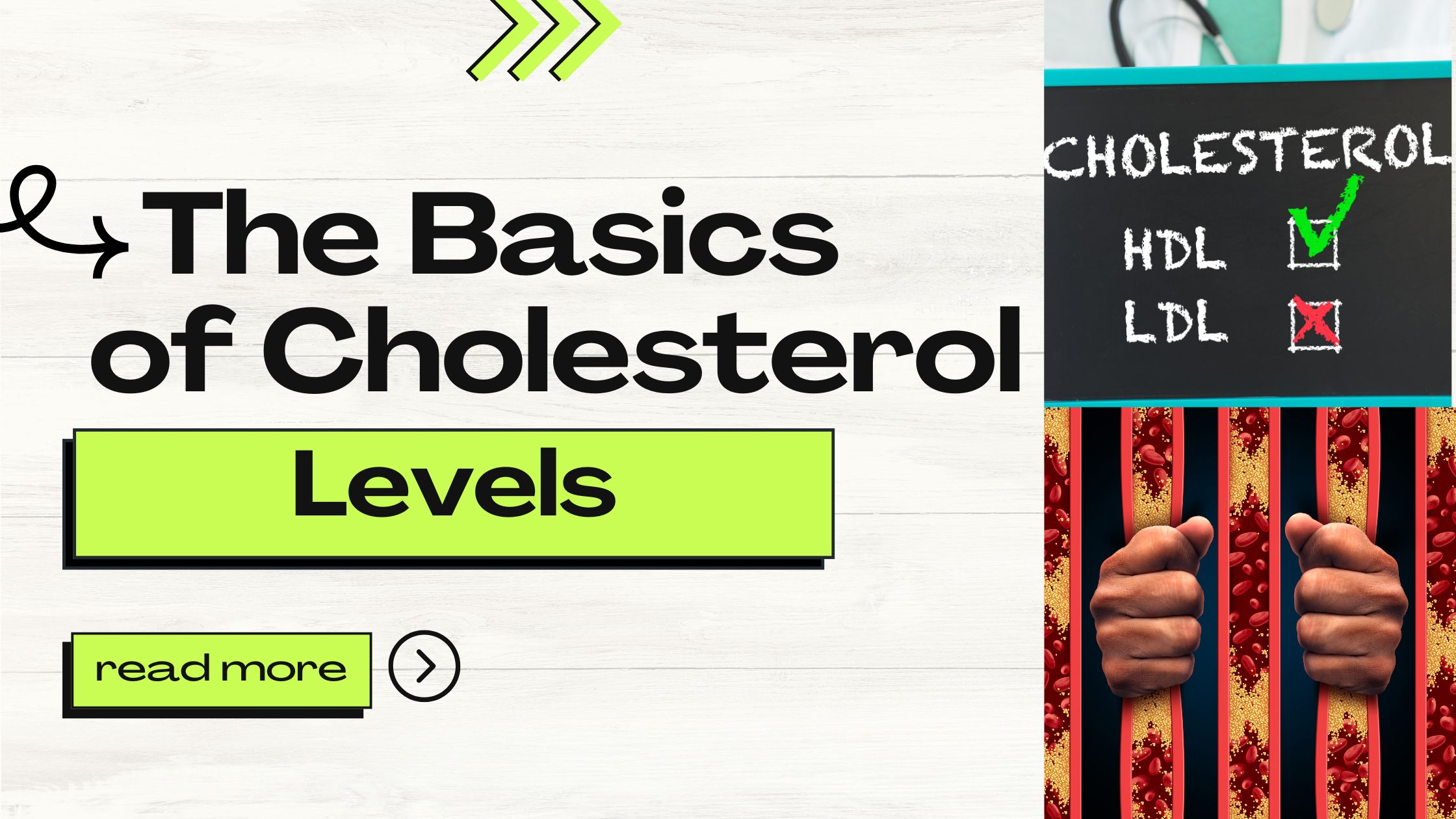 The Basics of Cholesterol Levels