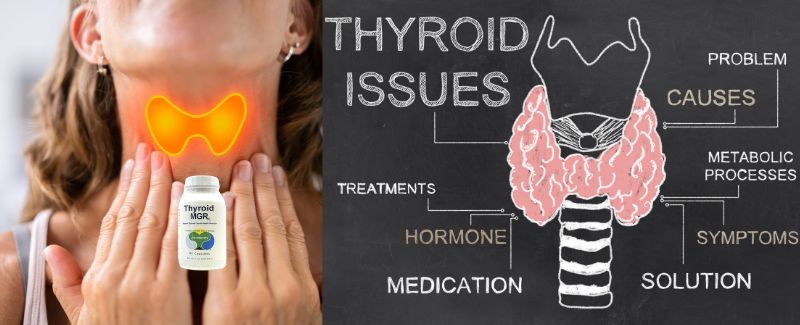 Enhance Thyroid Health with Thyroid MGRx