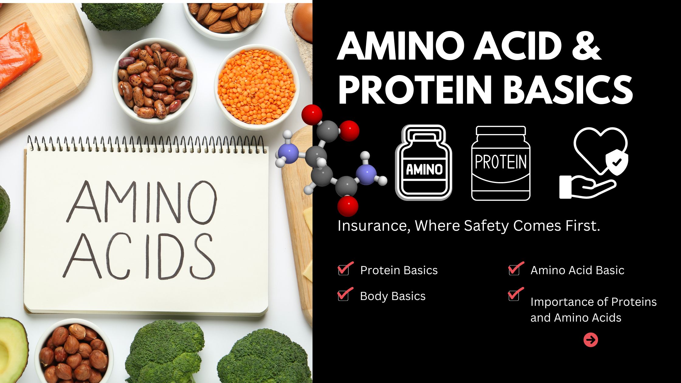 Amino Acid & Protein Basics