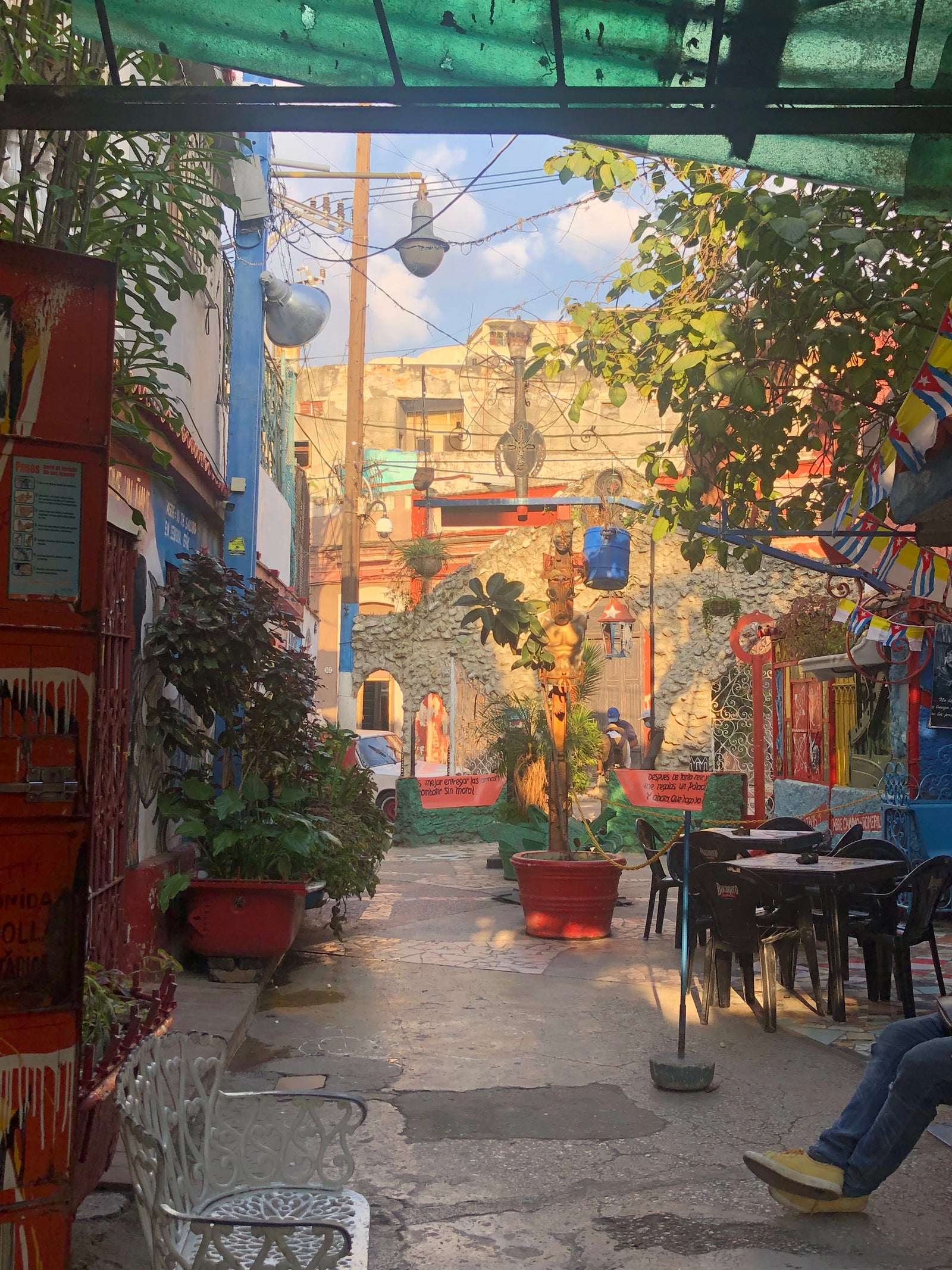 Bioavailability Misunderstanding with Colloidal supplements