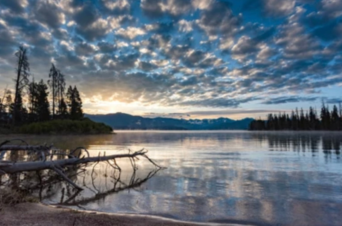 Colloidal Gold for Arthritis: A Golden Opportunity for Joint Health?