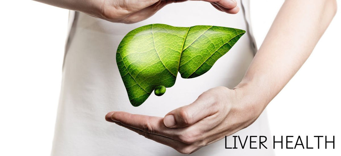 Liver Health: Understanding and Supporting Your Body's Vital Filter