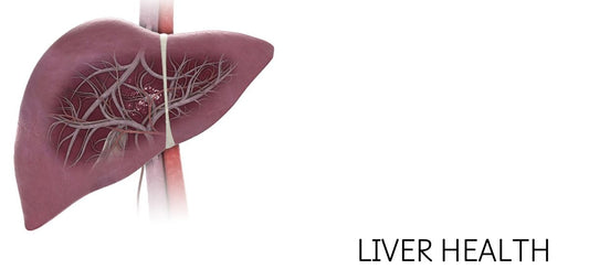 The Ultimate Guide to Liver Detoxification: Understanding Liver DTX