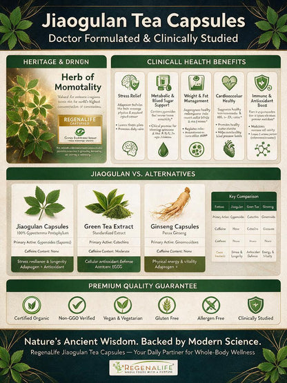 Jiaogulan Tea Capsules